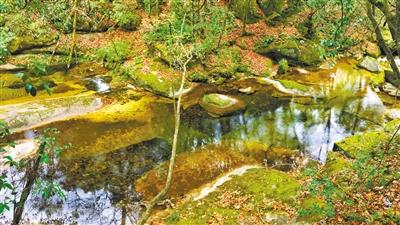 甘肅旅游丨八福溝，西秦嶺深處的水韻秘境