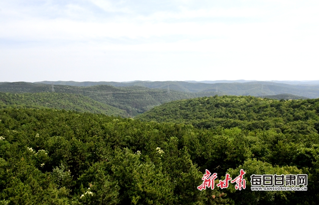 【甘肅生態(tài)環(huán)保媒體行】子午嶺深處，一家三代人用生命守護黃土高原的“天然生態(tài)屏障”