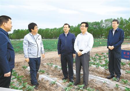 林鐸在天?？h調(diào)研指導(dǎo)脫貧攻堅(jiān)工作時(shí)強(qiáng)調(diào)  拉開架勢持續(xù)用力構(gòu)建扶貧產(chǎn)業(yè)體系 多措并舉固強(qiáng)補(bǔ)弱鞏固提升脫貧成果