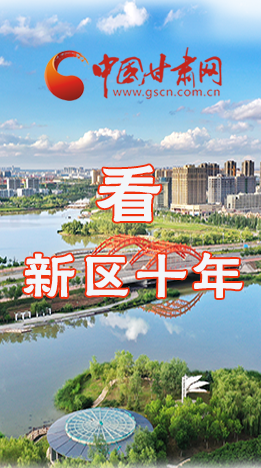 圖解|崛起！新區(qū)十年