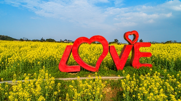 “l(fā)ove”創(chuàng)意拍照墻。廖濤 攝