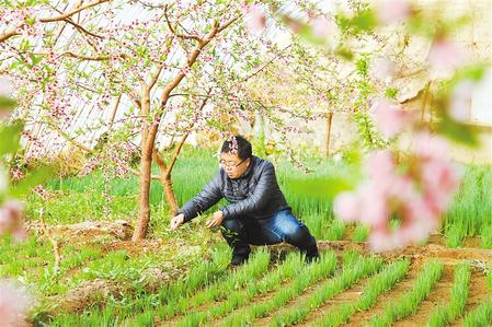 甘肅：時(shí)令催人耕種忙，不誤田間一季春