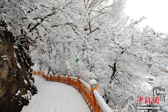 圖為上山的石階被雪覆蓋。張?zhí)鞂?攝