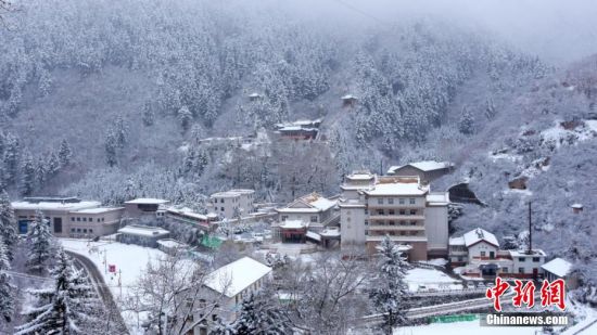 圖為籠罩在雪下的世界。吳永 攝