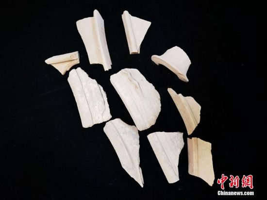 圖為靜寧縣賈河鄉(xiāng)竇坪村出土的彩陶片、紅陶片。 夏劍鋒 攝