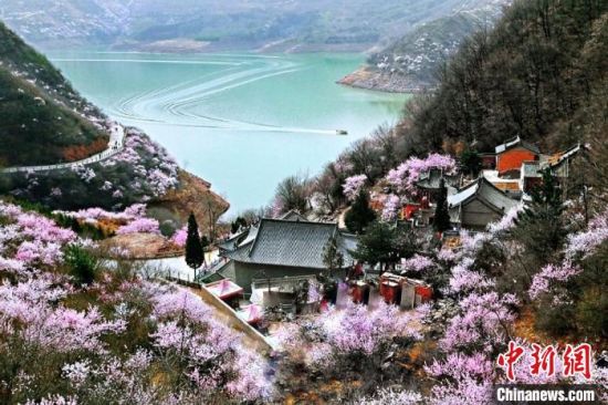 甘肅平涼市是中國優(yōu)秀旅游城市。圖為平涼崆峒山下十里桃花盛開。(資料圖) 平涼市委宣傳部供圖
