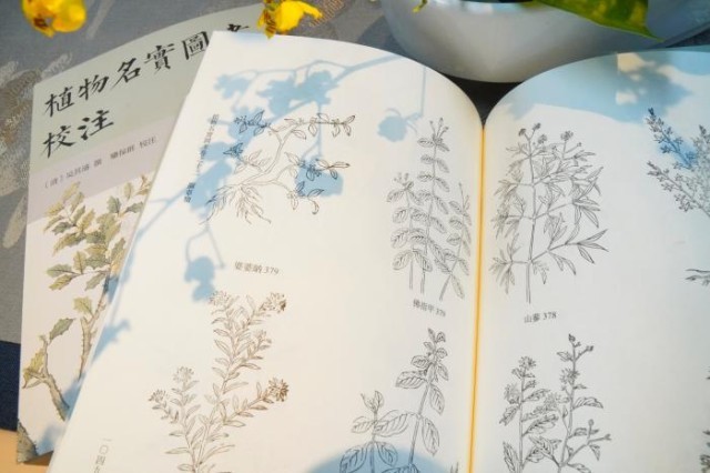 《植物名實(shí)圖考校注》內(nèi)頁。圖片來源：中華書局供圖