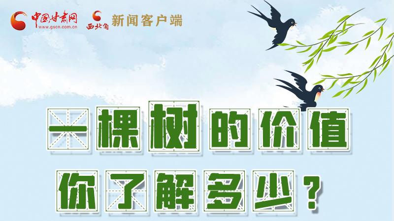 圖解|一棵樹的價(jià)值你了解多少?來看！
