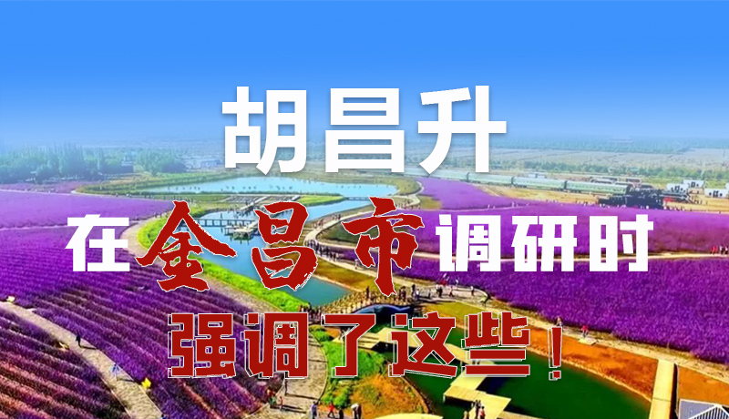 圖解|胡昌升在金昌市調(diào)研時(shí)強(qiáng)調(diào)了這些！