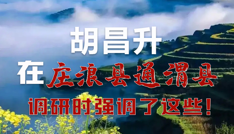 圖解|胡昌升在莊浪縣通渭縣調(diào)研時(shí)強(qiáng)調(diào)了這些！