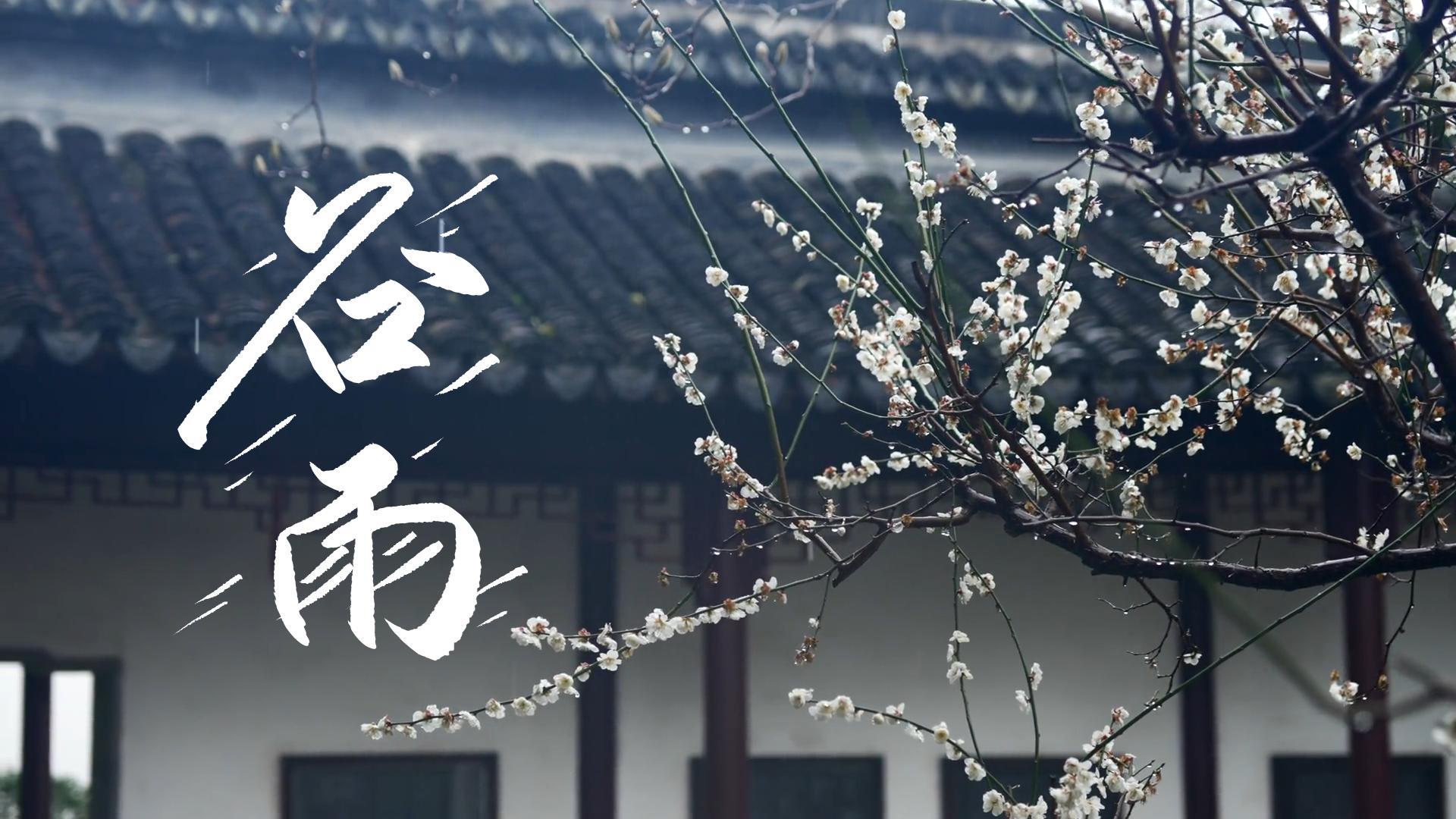 【節(jié)氣里的大美甘肅】谷雨，春天的最后一次回眸
