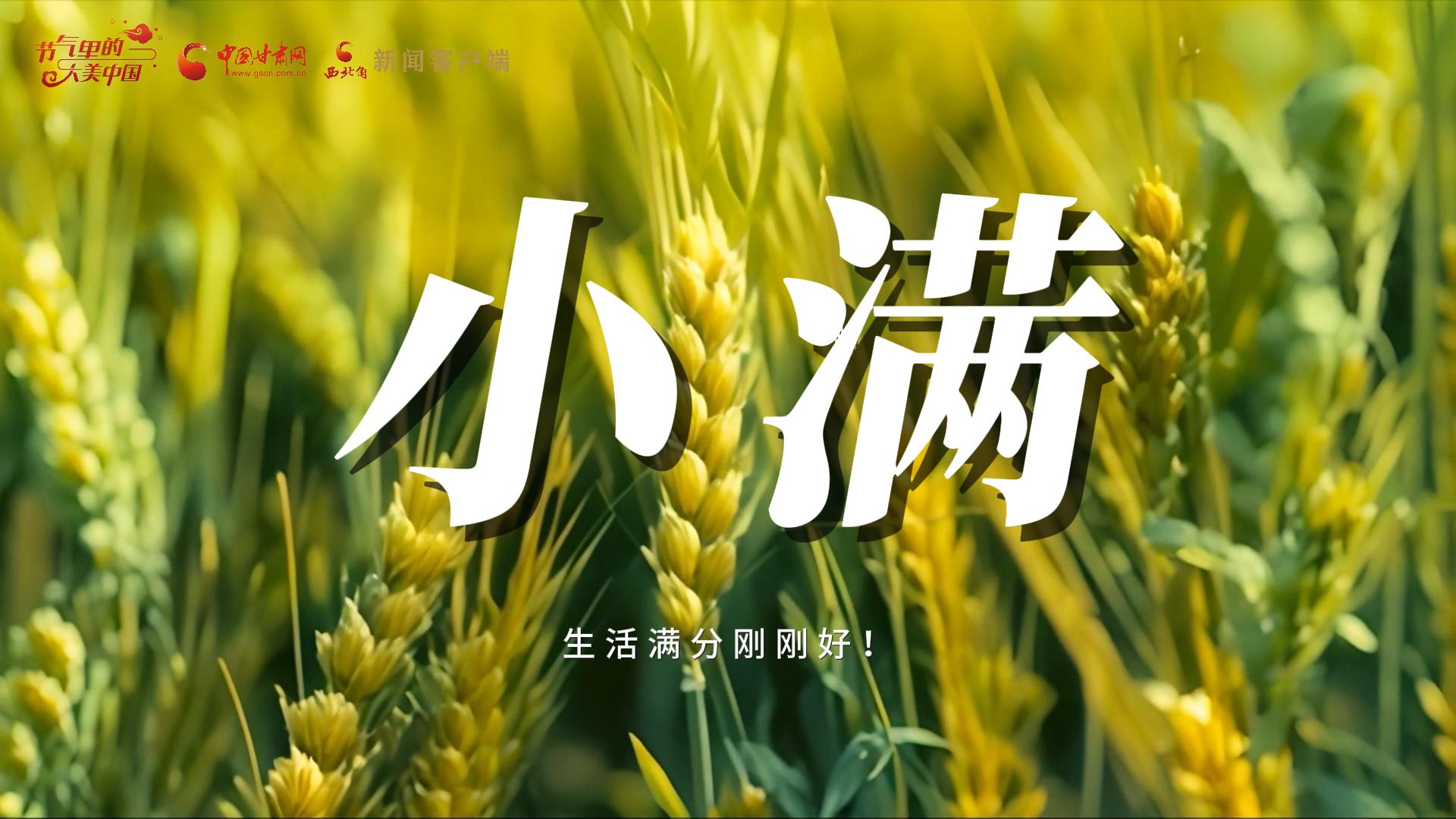 【節(jié)氣里的大美甘肅·小滿】生活滿分剛剛好！