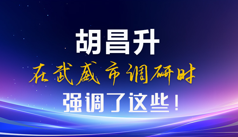 圖解|胡昌升在武威市調(diào)研時強調(diào)了這些！