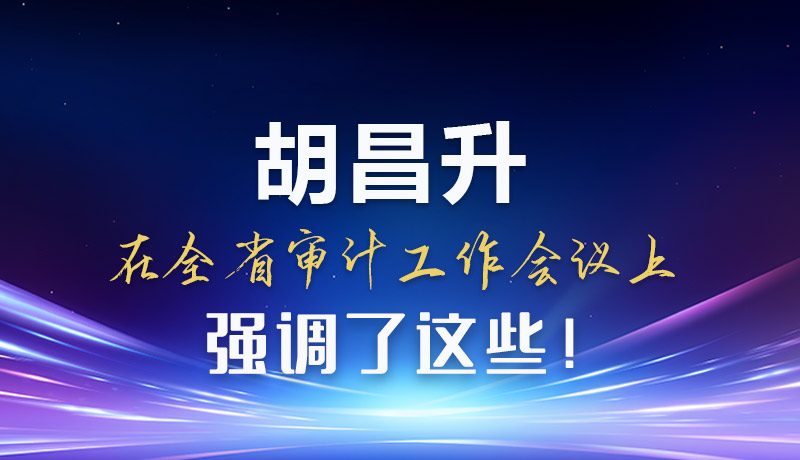 圖解|胡昌升在全省審計(jì)工作會(huì)議上強(qiáng)調(diào)了這些！