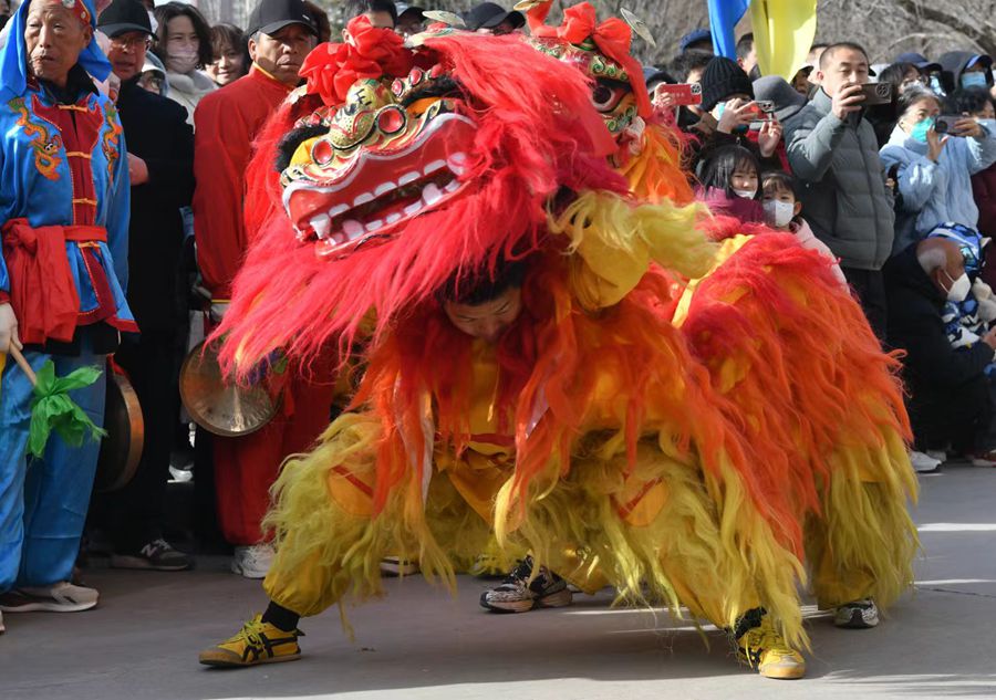 蘭州北獅表演現(xiàn)場(chǎng)。受訪者供圖